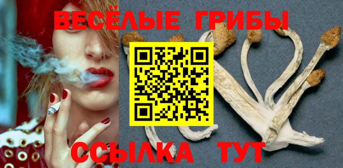 купить  цена  Галлюциногенные грибы Magic Shrooms  Вход с VPN  Галлюциногенные грибы прущие грибы  Йошкар-Ола 