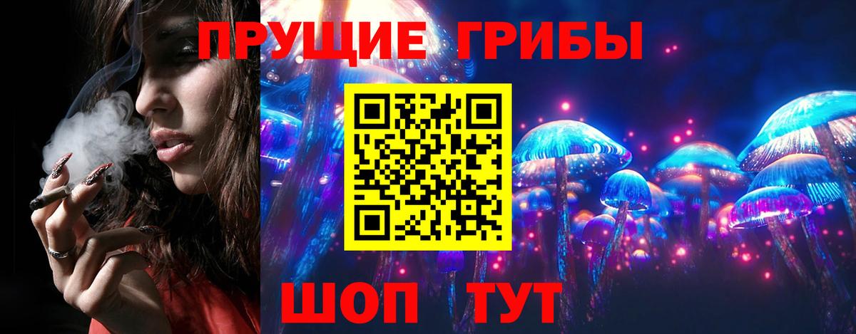Псилоцибиновые грибы GOLDEN TEACHER Йошкар-Ола